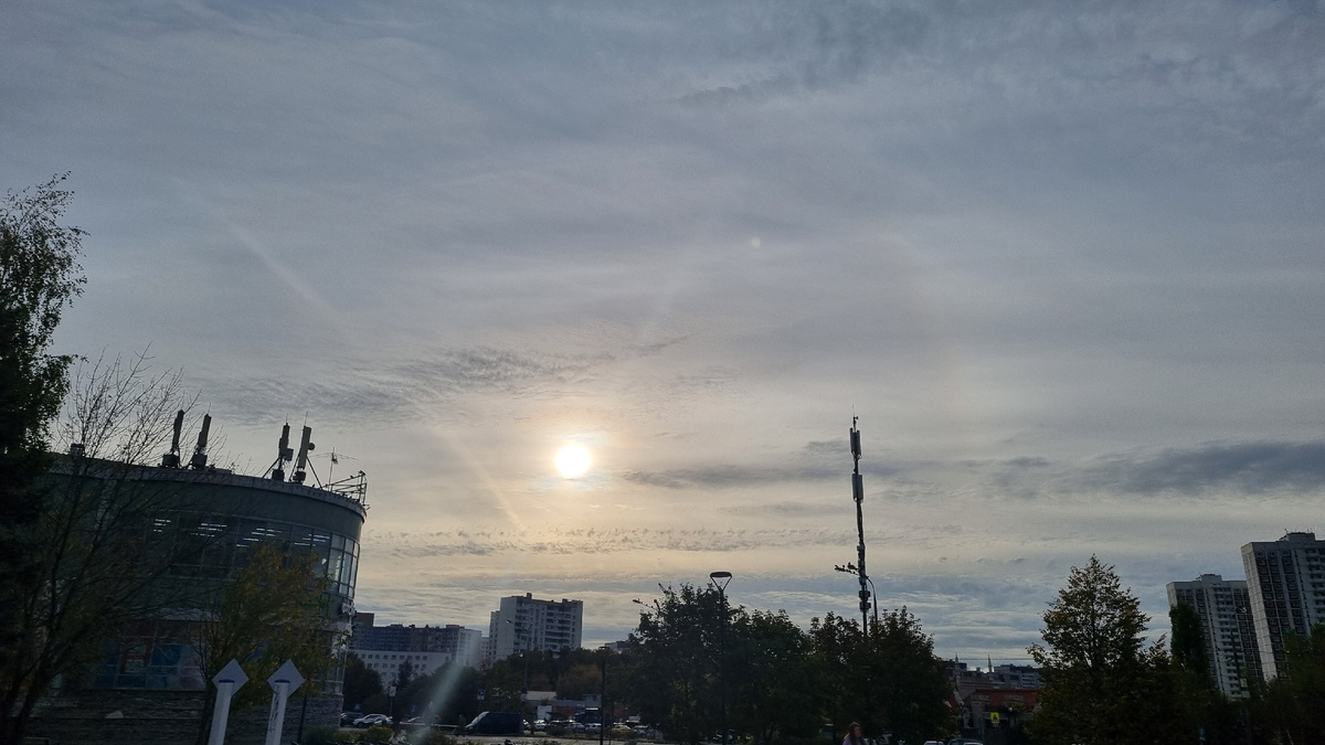 Очень осеннее утро)