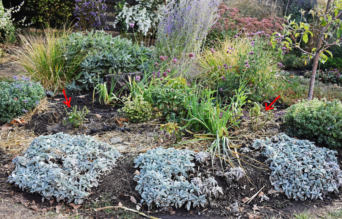 Моя клумба во время переделки