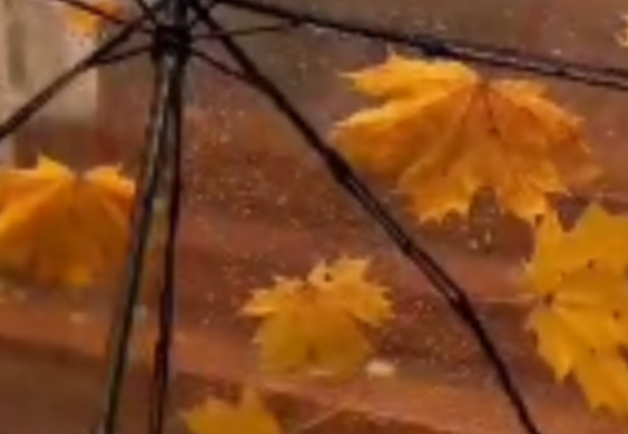 прогноз погоды