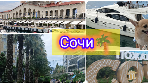 Едем в Сочи🌴. Смотровая площадка на ж/д вокзале в Адлере. Сочи. Улица Навагинская. Морской порт🚢. SOCHI GRAND MARINA.