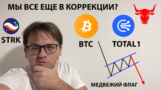 Télécharger la video: 🔴🔴 МЕДВЕЖИЙ ФЛАГ НА BTC. ПРОДОЛЖИТСЯ ЛИ КОРРЕКЦИЯ? ТЕХНИЧЕСКИЙ АНАЛИЗ #BTC #USDT #TOTAL1 #STRK