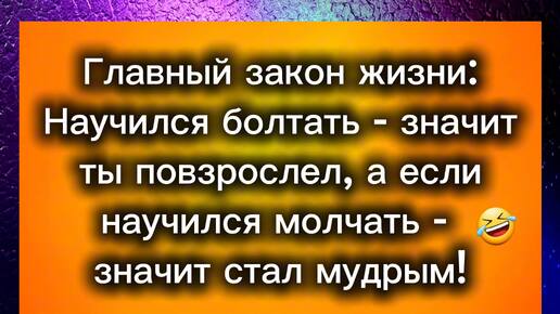 Отличный сборник анекдотов: Еврейский юмор, анекдоты о жизни, смешные ситуации