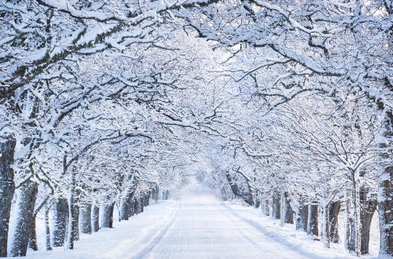 прогноз погоды