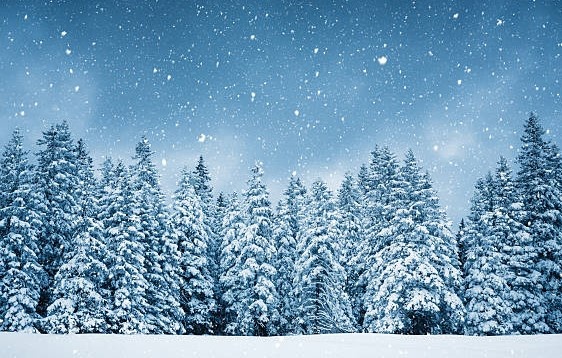 прогноз погоды