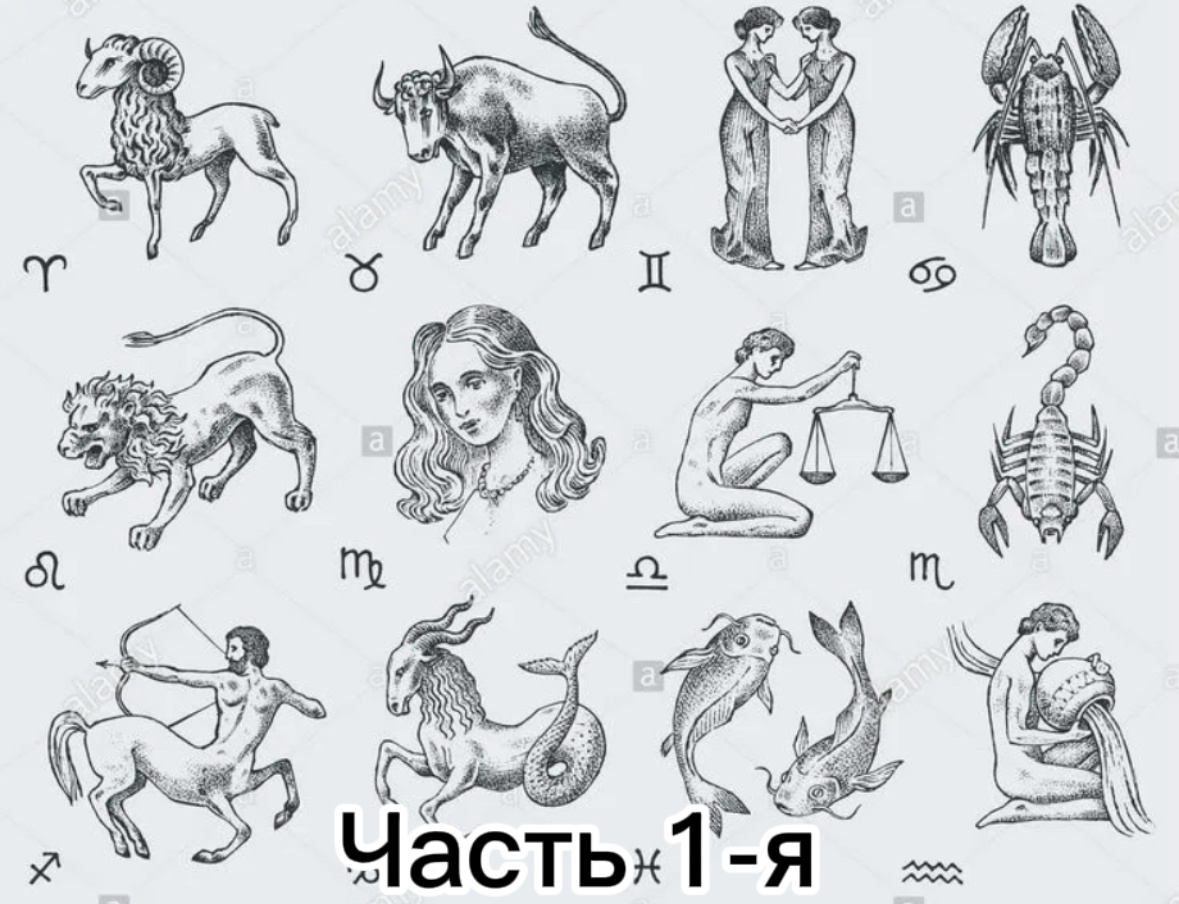 #знакзодиака #астрология #AstrologyNelly