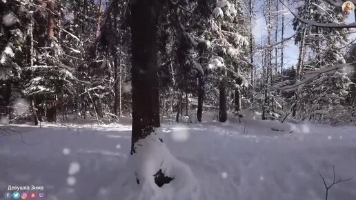 СБОРНИК С КРАСИВОЙ ИНСТРУМЕНТАЛЬНОЙ МУЗЫКОЙ !Ощутите, как волны музыки омывают вас, наполняя душу светом и нежностью утренней зари.