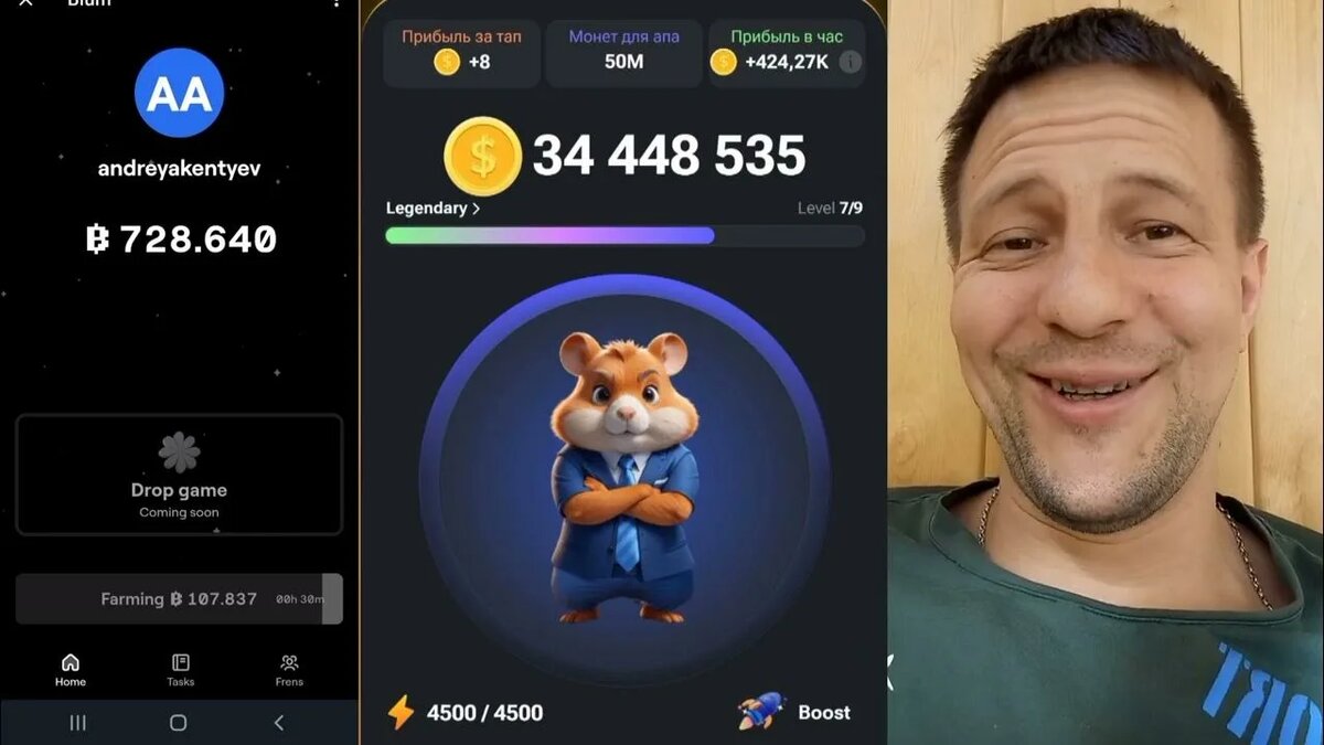 1 hamster в рублях. Джунгарский хомяк хаски. Хомяк читер. Giant space hamster. Хомяк живой.