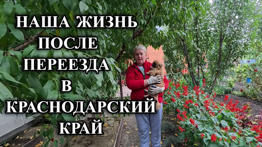 下载视频: 694ч Один день из жизни на юге/Переехали на Кубань/Купили новый дом на юге