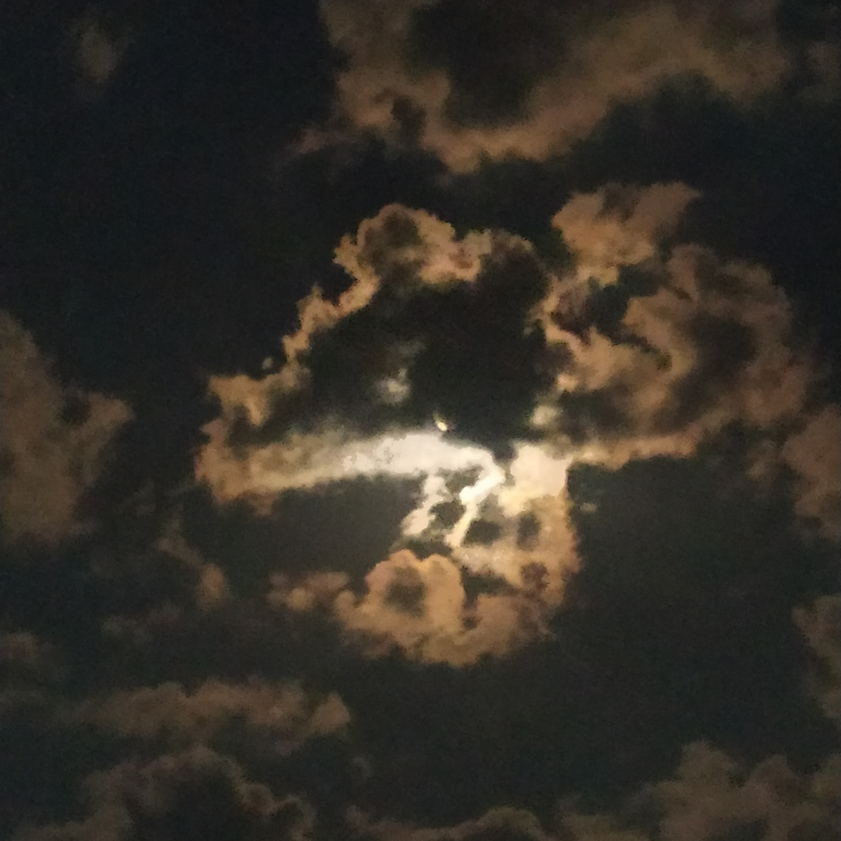 Что хотел сказать автор? Фото из личного архива