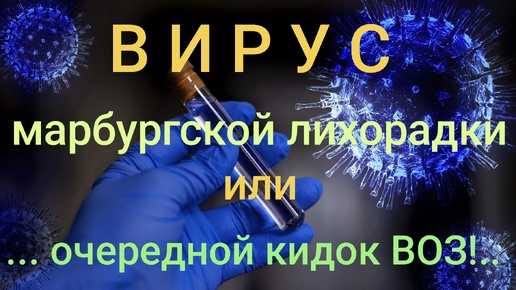 🦠 ВИРУС МАРБУРГСКОЙ ЛИХОРАДКИ🪲 Или очередной кидок ВОЗ! 😁