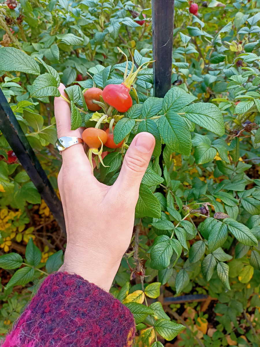 В детстве мне довольно часто снились осознанные сны, либо просто какие-то необычные и интересные. Некоторые могли даже напомнить ужастики Стивена Кинга по своей мистичности. Один из таких, самых знаковых для меня, благодаря чему помню его по сей день, из детства, про школу и монстров на втором этаже. В начале сюжета я на уроке на третьем этаже, как только выхожу на перемену, кто-то из одноклассников шепотом, на ушко, говорит, что сейчас я сплю, и смогу проснуться только если выйду из здания. Разумом я не поверила ему, но чуйкой взяла на заметку. Решила проверить: подойдя к лестнице, увидела, что переход на втором этаже караулят монстры, непохожие ни на одно существо, которое я могла бы знать. Очень высокие, около двух метров, с чуть подогнутыми ногами в районе колен. Все тело иссушенное, так что кости обтянуты кожей. Череп очень сильно отличается от нашего: верх напоминает каску, сзади суженную с двух сторон. То есть, сзади он треугольной формы, а спереди - круглой. Лиц я уже вспомнить не могу в силу просто очень слабой памяти на черты. Но помню образ. Очень хладнокровный, безэмоциональный, недвижимый, как будто они представляли собой группу, совершающую дерзкое ограбление. Конечно, я не решилась пройти на второй этаж, а только тихонечко отошла подальше обратно в класс. А мой разум теперь всерьез запустил процесс осмысления: как мне отсюда выйти? В классе я теперь была не просто ученицей, а той, кто бережно хранит свою тайну и незаметно для других продумывает план ухода. В процессе перемен, игр, я несколько раз подходила к лестнице, и к своему сожалению видела там все те же грозные тела, они неизменно занимали свои позиции и несли вахту крайне пристально. Тогда я поняла, что мое положение здесь далеко от выигрышного, и нужно придумать что-то другое, чем просто периодические проверки целевой зоны. И дала себе время. Если монстры стоят исключительно на втором этаже, не поднимаются наверх, вероятность, что они захотят поймать меня здесь, близится к нулю. Поэтому можно просто расслабиться и вовлечено поиграть с другими ребятами, пообщаться и забыть о потенциальном кошмаре неподалеку. И я отстранилась, сменила ветку реальности с тревожной на беззаботную и радостную. Из девочки с мрачной тайной превратилась в обычного счастливого ребенка. И пока во время игры я искала место для того, чтобы спрятаться, прошла мимо лестницы, ощутив всей кожей и фибрами души, что там, внизу, прямо сейчас спокойно и тихо. Тут я уже не думала, на цыпочках подошла, осмотрелась очень внимательно и просто сделала то, что должна была - максимально аккуратно, тихо и быстро спустилась вниз, на одном дыхании. Выдохнула уже только тогда, когда вышла на улицу. Вместо финальных титров я увидела пейзаж города, после чего уже проснулась. Всю жизнь этот сон как будто хранил некое сакральное значение, которого в точности я не понимала. И вот недавно, за ночными посиделками со знакомым эзотериком с большим опытом и бывшим следователем по особо важным делам, я узнала метафорический смысл этого сновидения. Моя знакомая разложила его очень просто, как будто нашла необходимую страницу в соннике и зачитала толкование вслух. Монстры - это все то темное во мне, что я должна победить и преодолеть здесь, в этом воплощении. То, благодаря чему темные силы всю жизнь иногда будут предпринимать попытки нападения. Но все это совершенно неважно, ведь во мне то безграничное количество света, которое в итоге позволит пройти все достойно и проснуться окончательно. 
