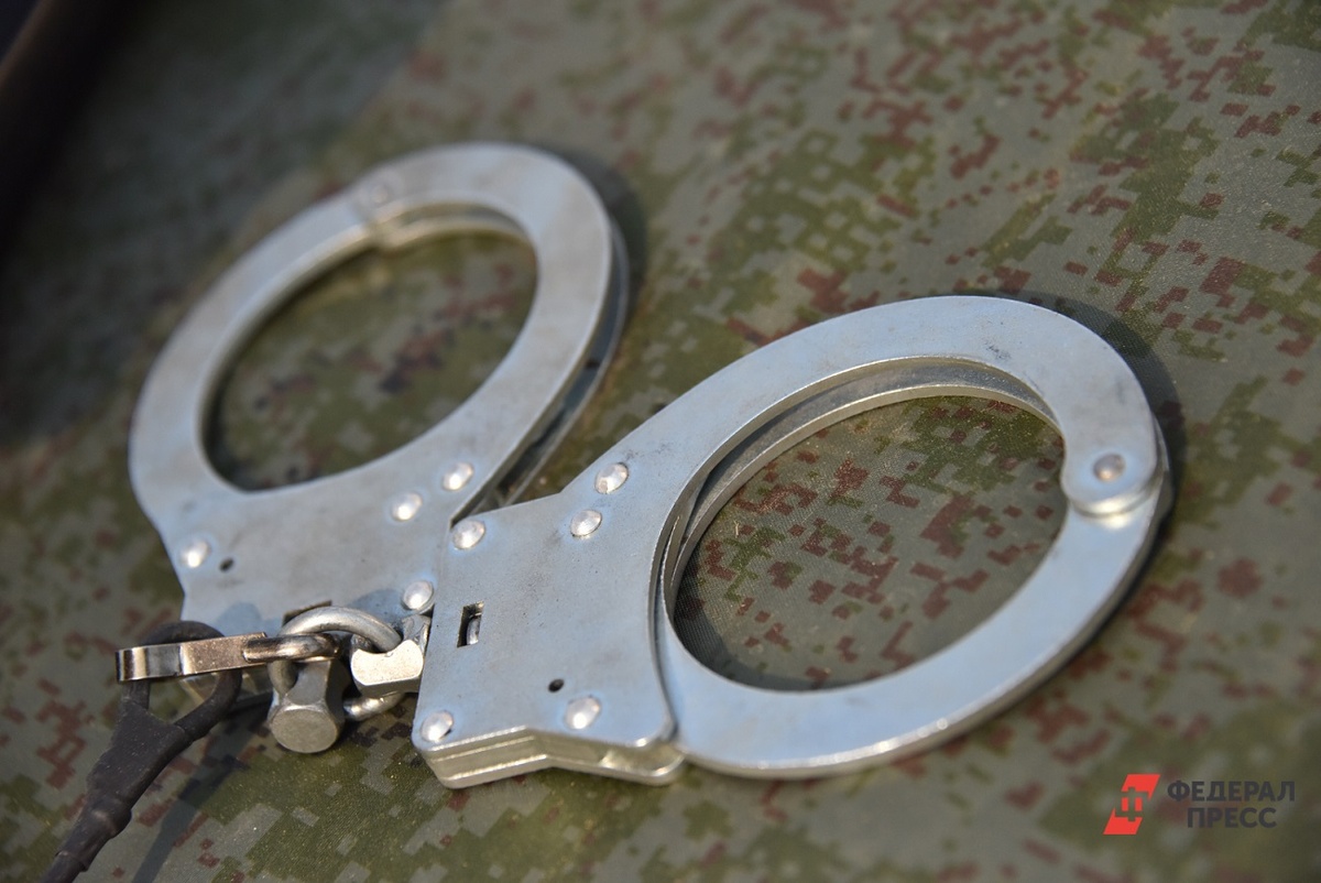 Дамочка получила 14 суток административного ареста и должна выплатить штраф.  Фото: ФедералПресс / Полина Зиновьева