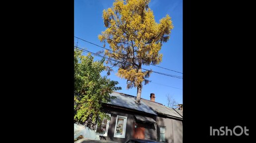 Прогулка по осеннему городу.Фото под расслабляющую музыку.