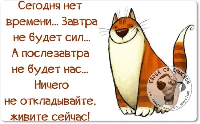  Из открытых источников сети Интернет