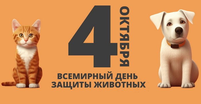 bestkartinki.ru