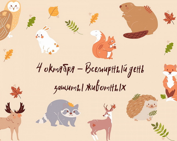 bestkartinki.ru