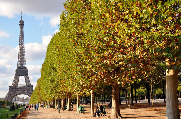 Яндекс. Открытый источник