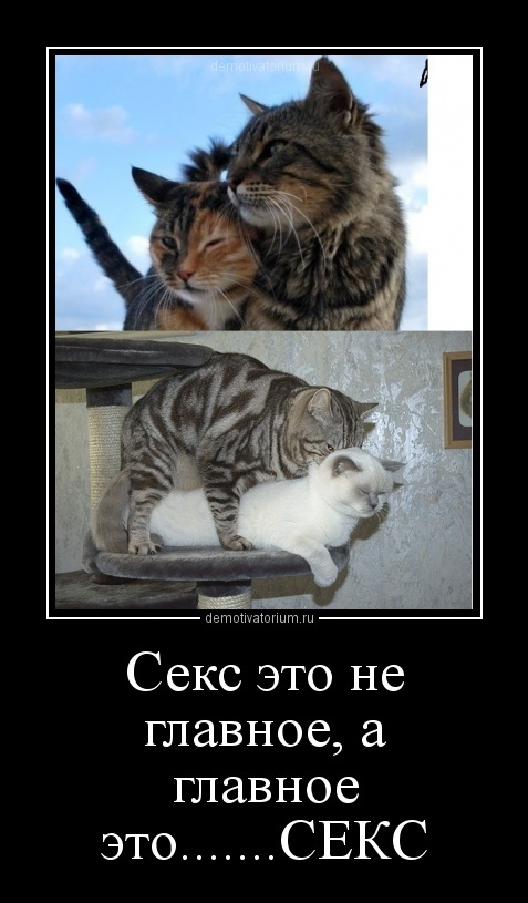 Яндекс Открытый источник 