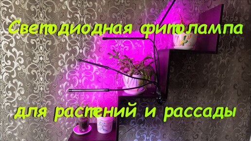 Светодиодная фитолампа для растений и рассады.