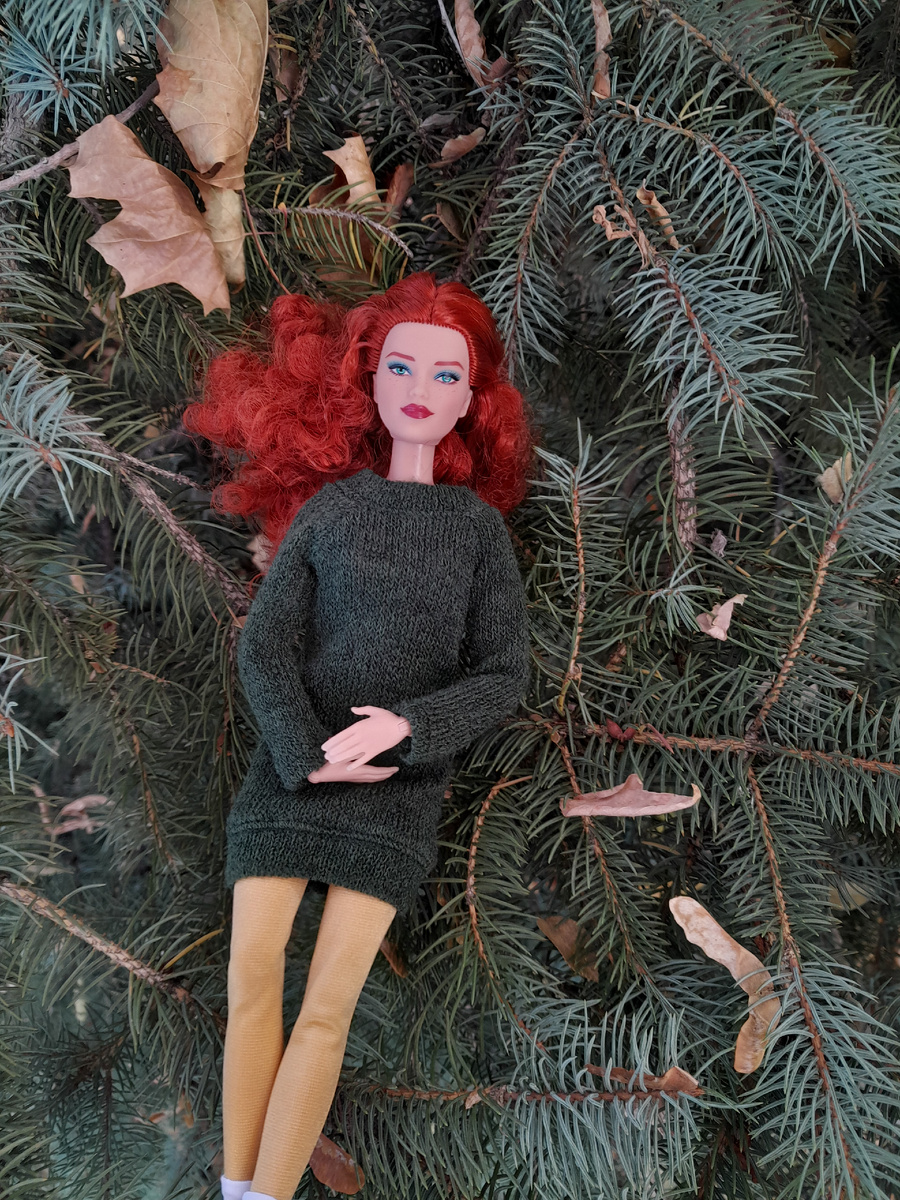 Девушка мечтала о принце