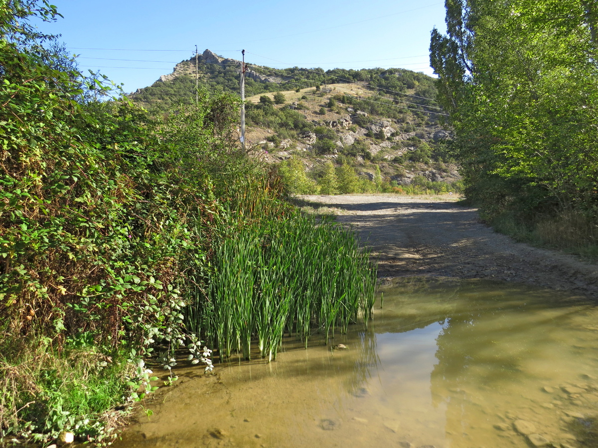 Листайте галерею