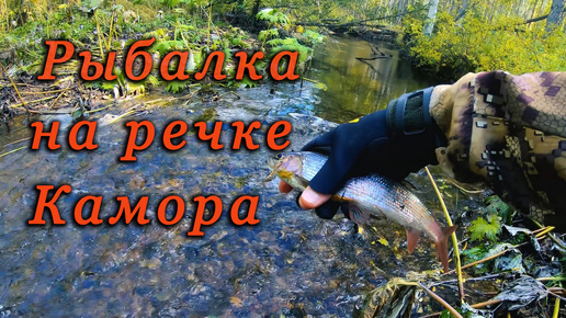 Рыбалка на речке Камора. Хариус. Осенняя природа