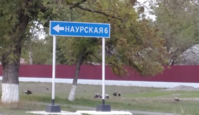 Фото из открытых источников 