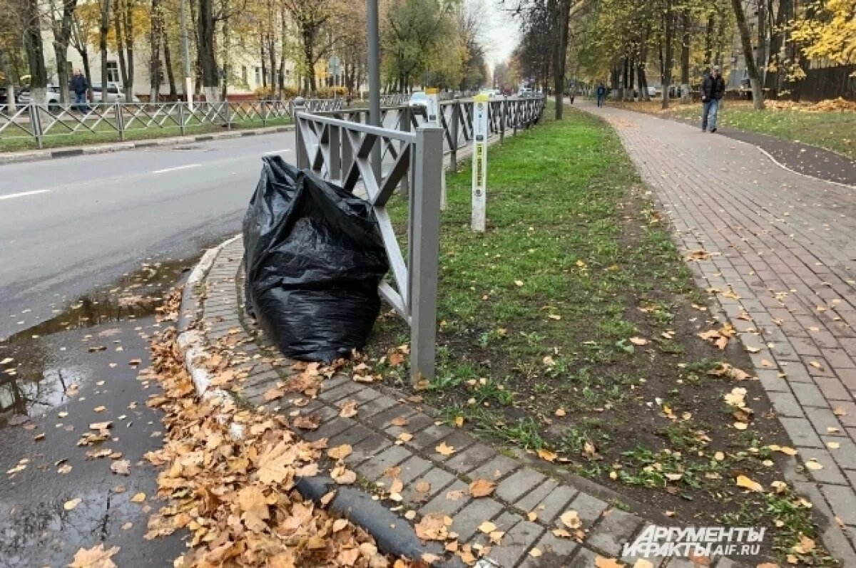    5 тысяч человек выйдут на уборку улиц Барнаула в рамках «чистого четверга»