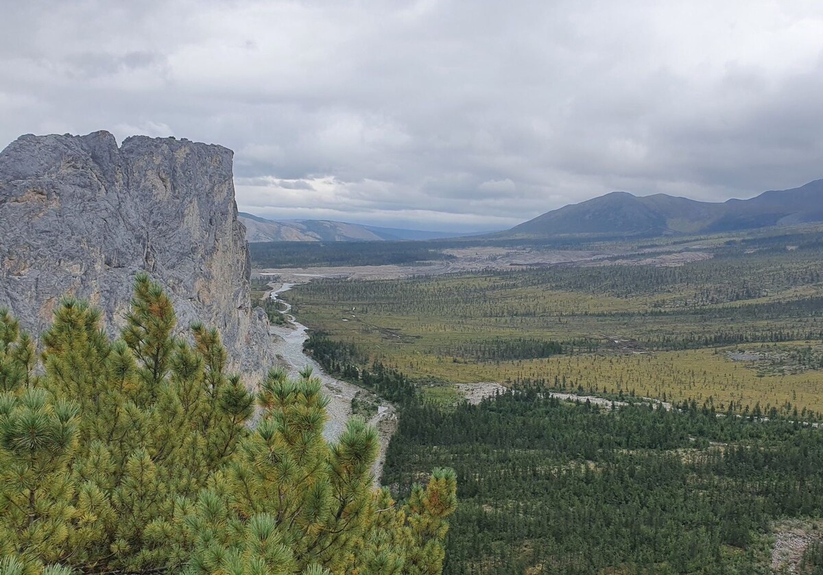 © ООО «Янолово»