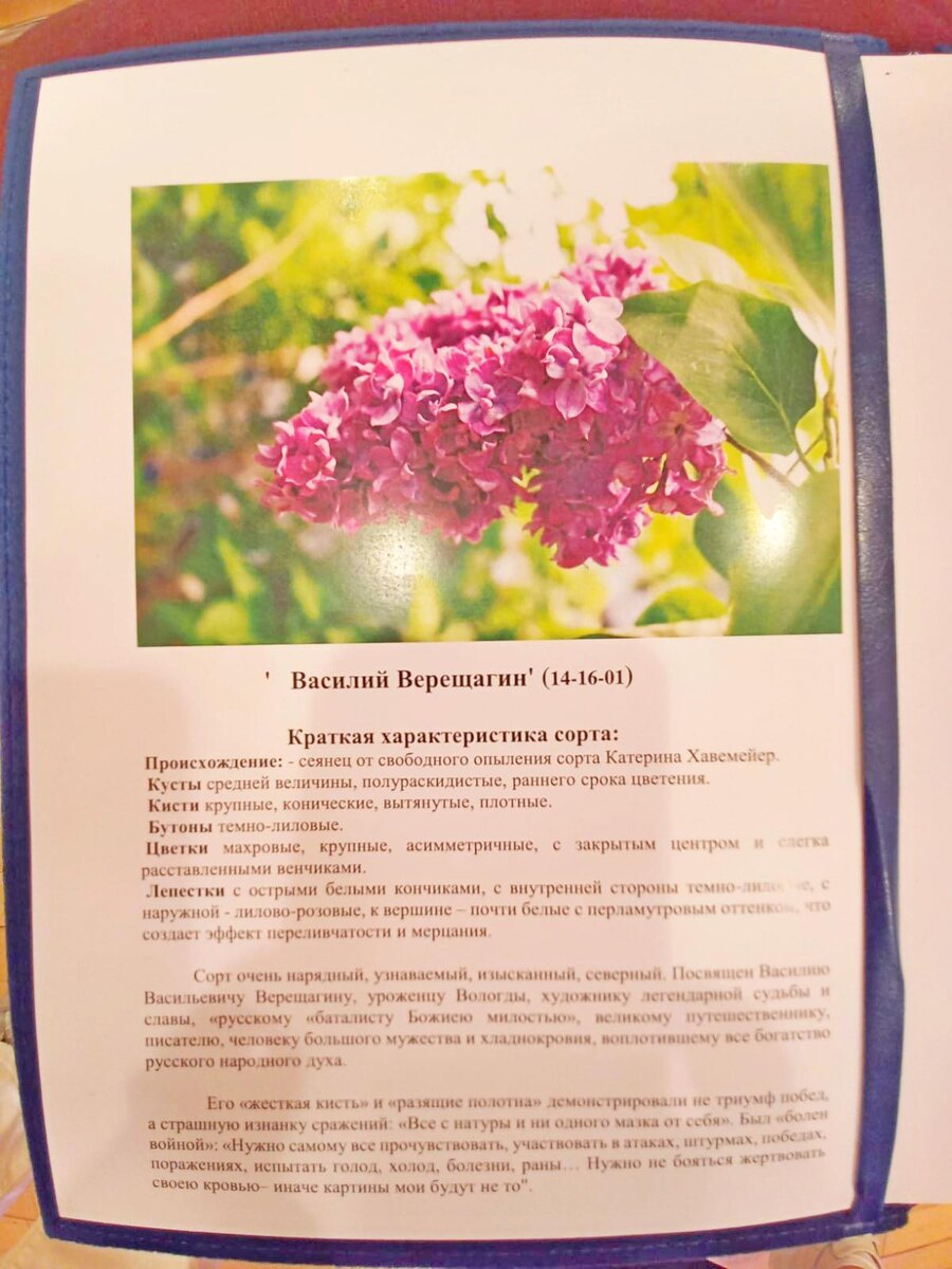 фото Е.Шершень