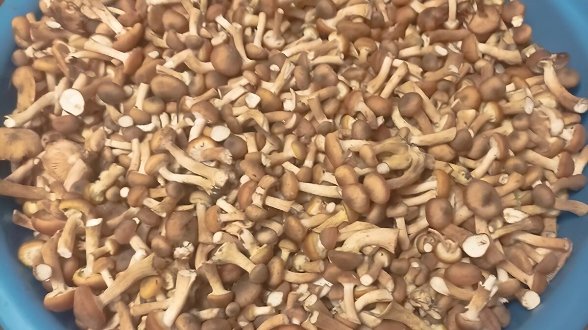     Источник: vk.com/club182246047