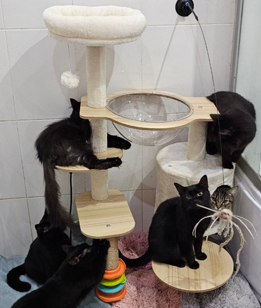 Часть ребят