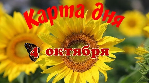 Карта дня🍁4 октября🌞Пасьянс. Тайм-код в описании🦢