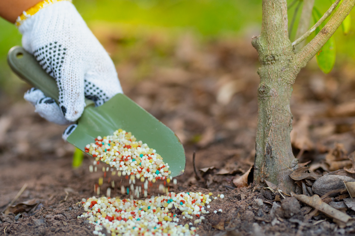 Источник фото: sovetov.su
