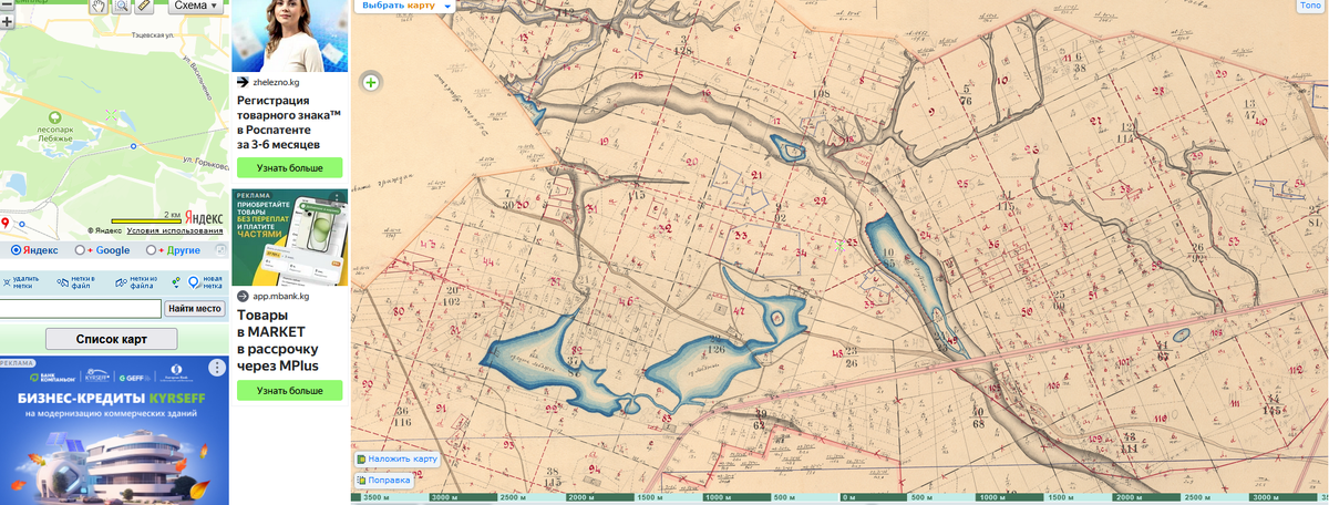 Лесоустройство лесной дачи Лебяжье, 1929