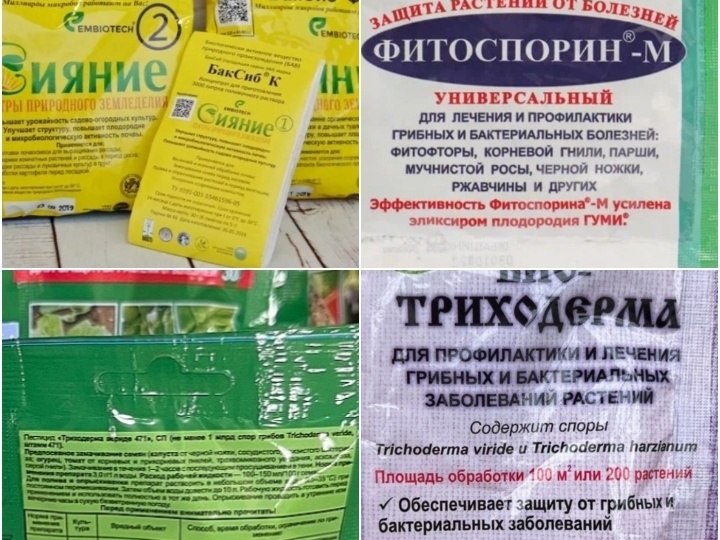 Как все испортить биопрепаратами. На каких почвам приличным грибкам делать нечего