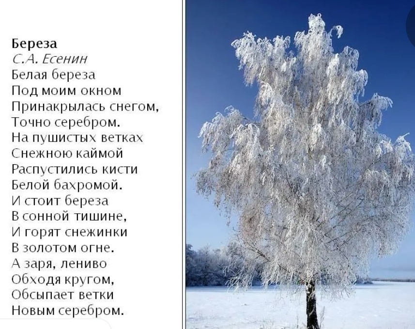 Сама природа говорит его стихами. 