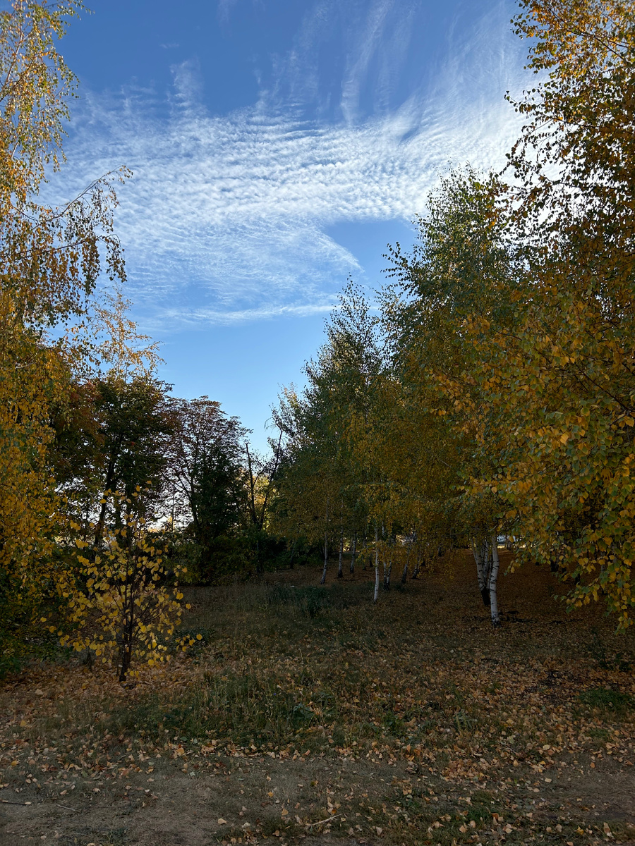 Фото сделано 3 октября 