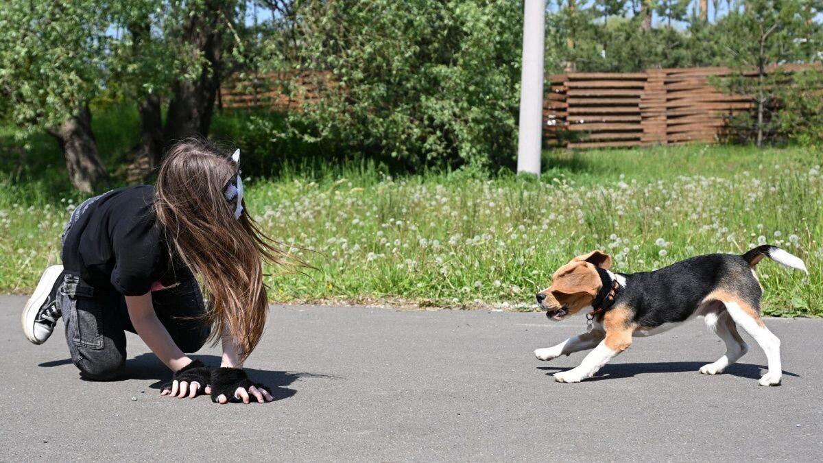     Девочка-квадробер и собака. Источник: ria.ru Автор фото: Максим Богодвид