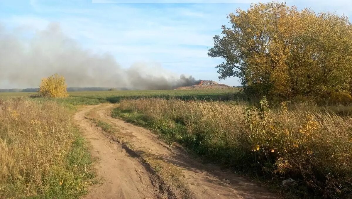     Источник: t.me/Korotkov_BGR