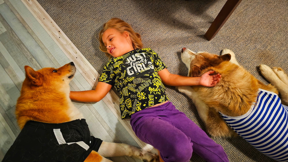 Дочка и её рыжий зоопарк