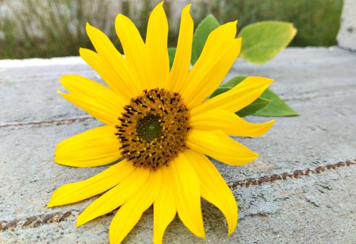 Фото: АПК Новости