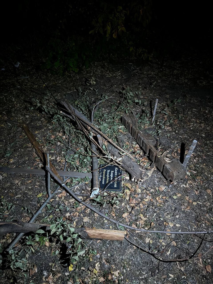    Неизвестные устроили акт вандализма на аллее Жириновского в Воронеже взято из социальных сетей реготделения ЛДПР в Воронежской области