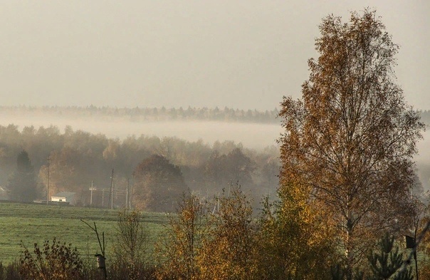 Из открытого доступа