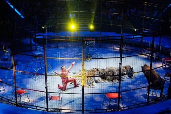    Фото: Александр Вдовенко