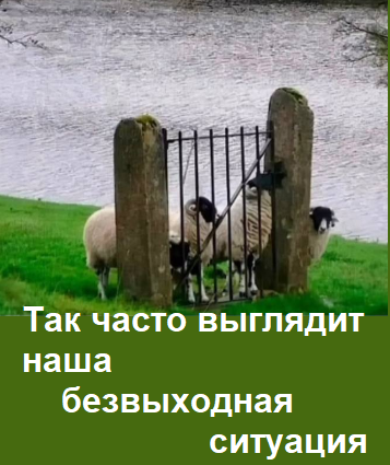 картинка из интернета