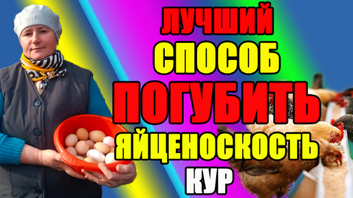 Лучший способ - как ПОГУБИТЬ яйценоскость кур.