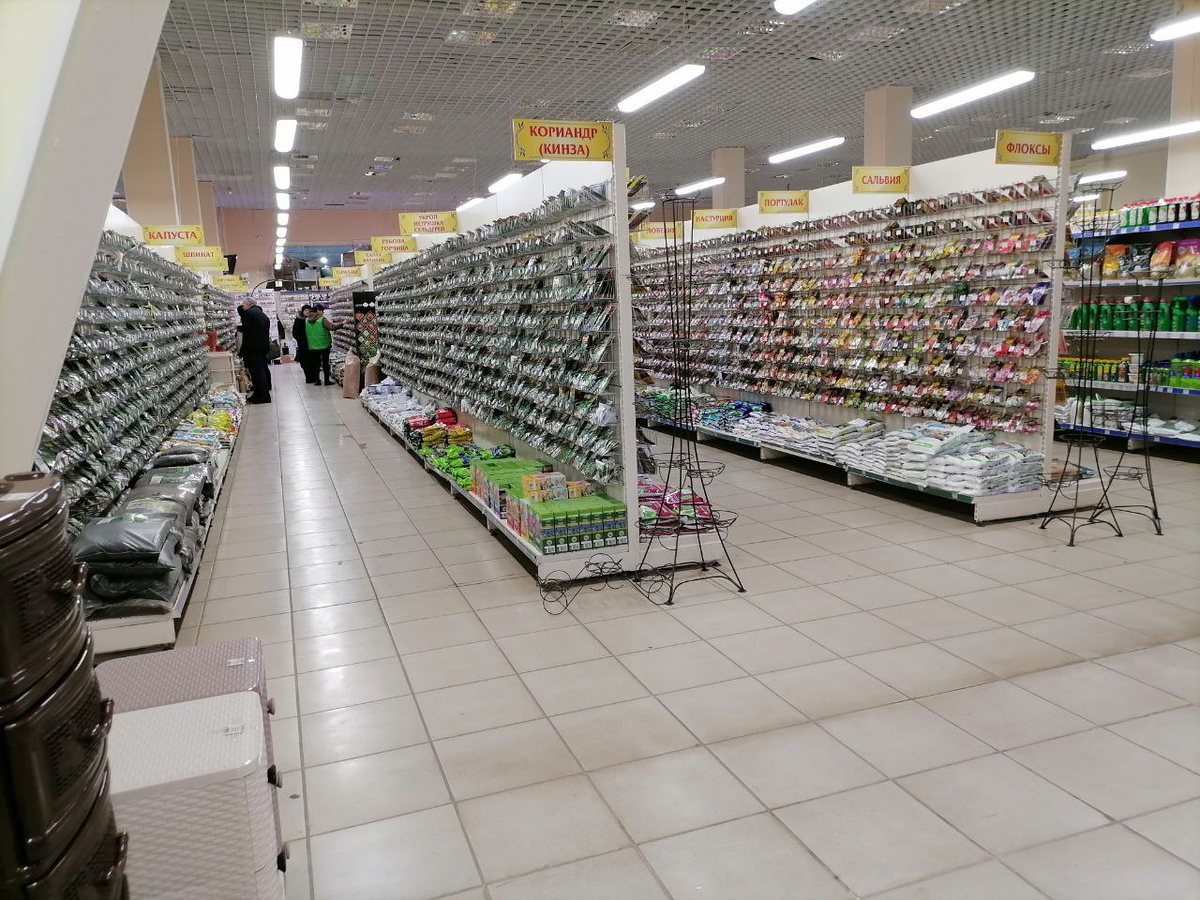 Это лишь четверть стеллажей с семенами в гипермаркете "Успех", все в кадр не входят, фото автора