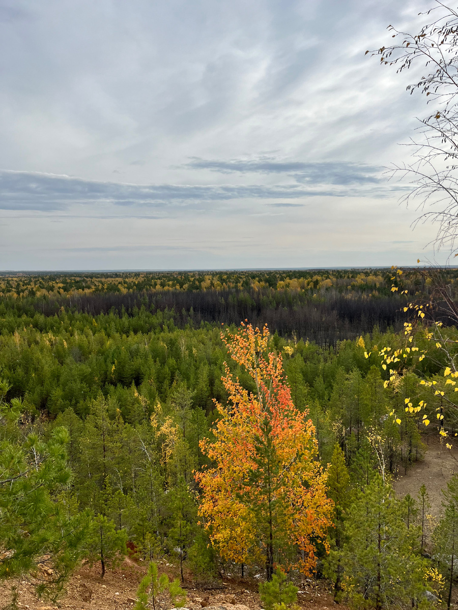 Вид со смотровой площадки