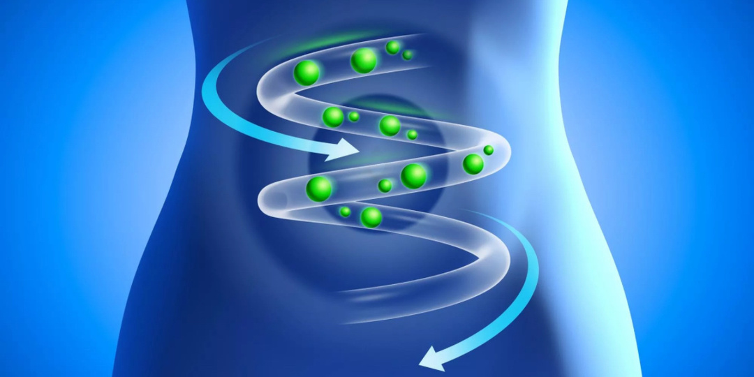 Пищеварение работает как часы: что мне в этом помогает